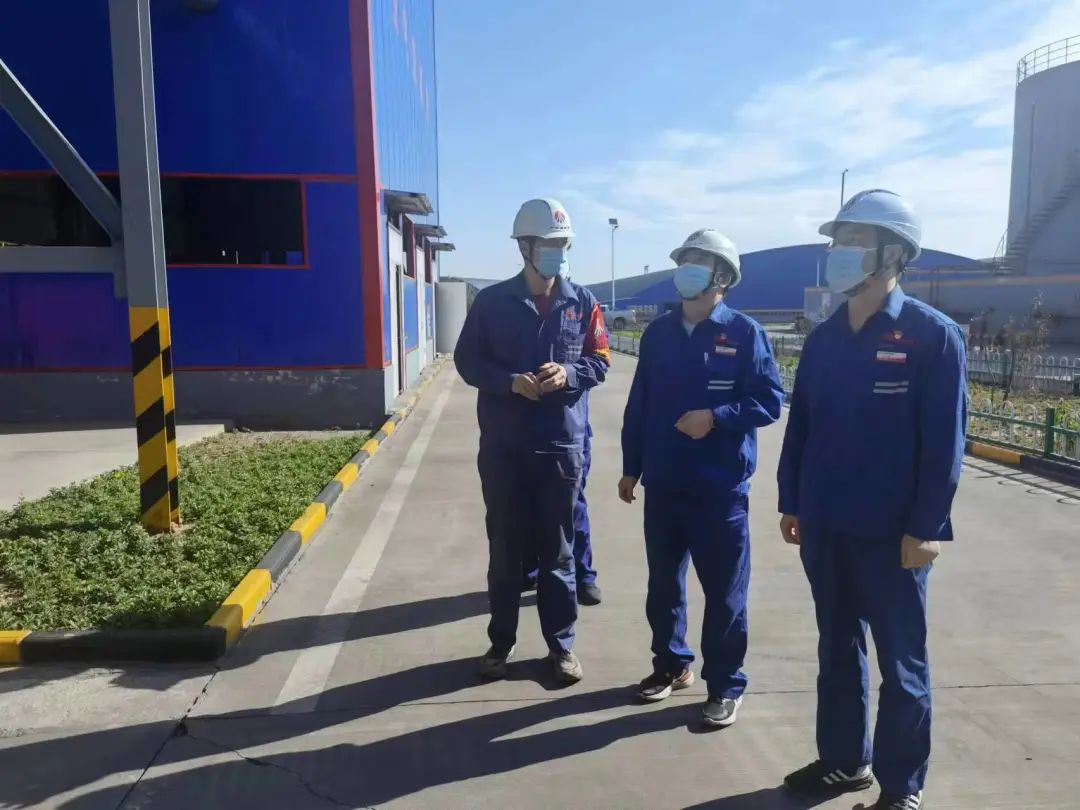 1669853814148526.jpg 8.jpg