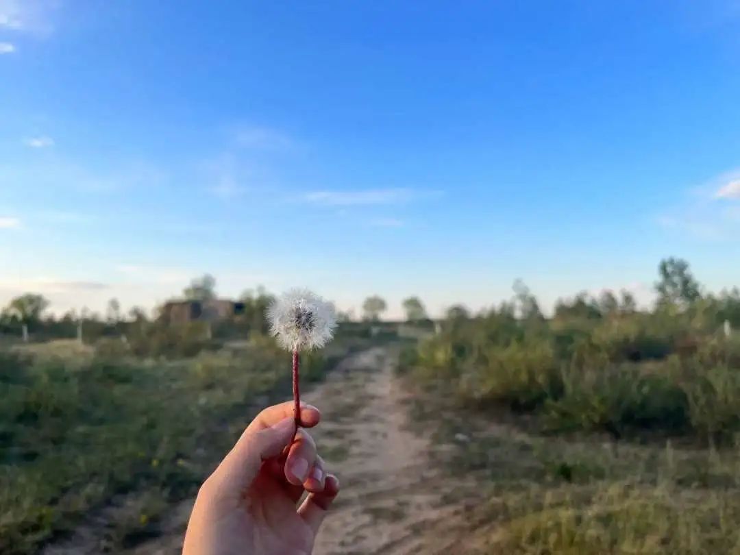 1688516536672419.jpg 640 (3).jpg