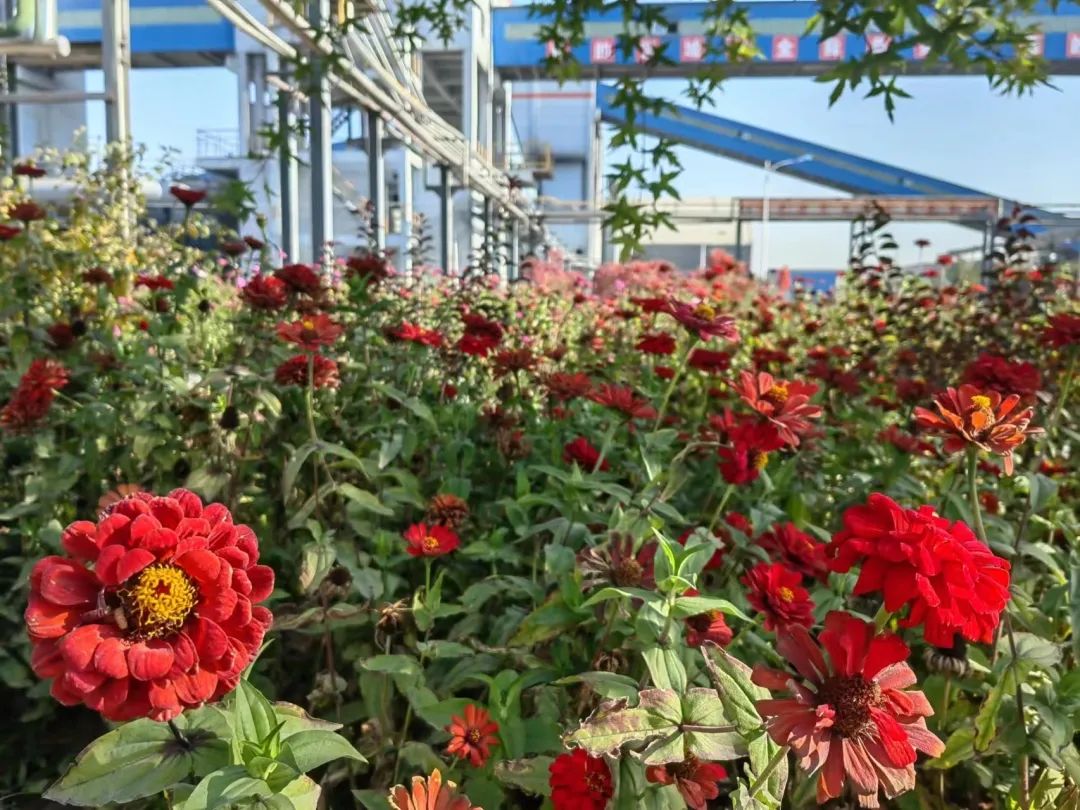 1697766149249066.jpg 640 (10).jpg