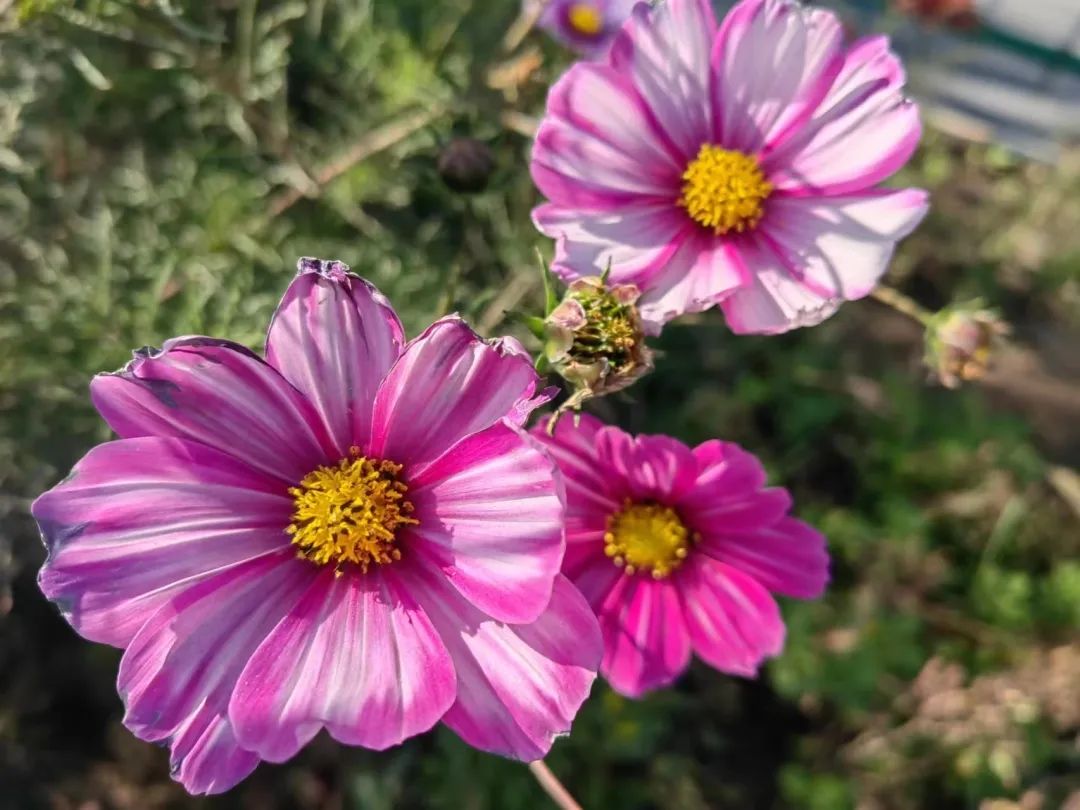 1697766153401163.jpg 640 (11).jpg